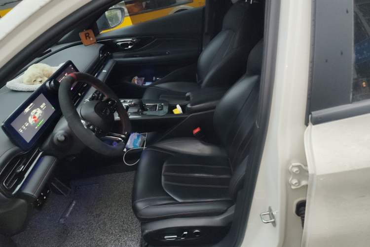 Used GAC Trumpchi EMPOW 2023 Shadow Leopard H Smart Hybrid Edition Left Front Seat