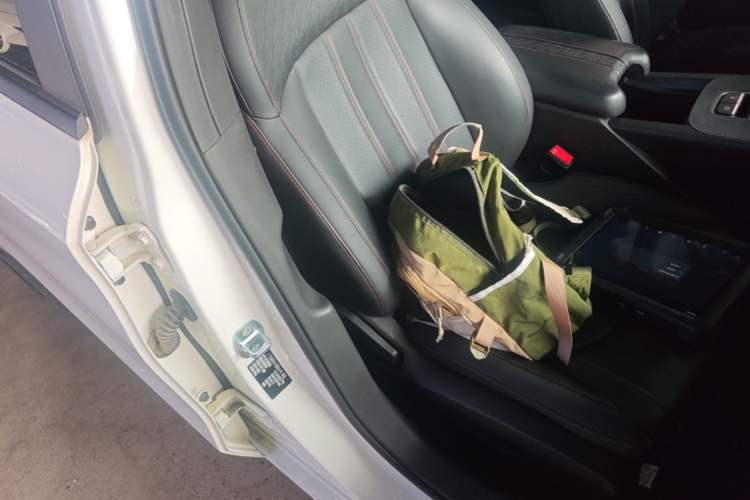 Used GAC Trumpchi EMPOW 2023 Shadow Leopard H High-Energy Hybrid Edition Right Front Seat