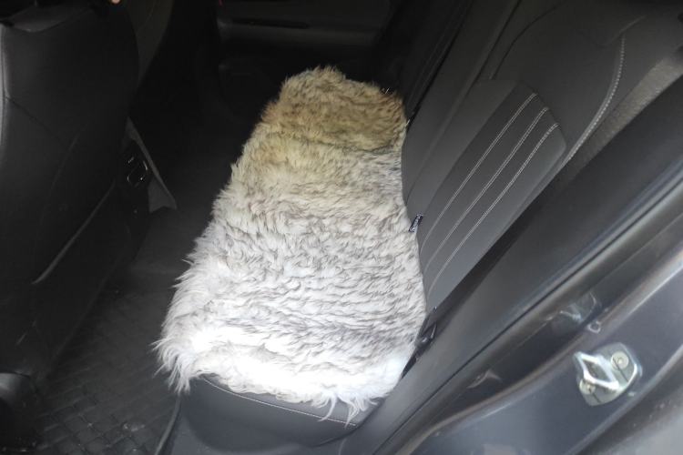 Used GAC Trumpchi EMPOW 2024 270T DCT Yingbao R-Style Edition Left Rear Seat