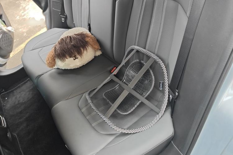 Used GAC Trumpchi EMPOW 2024 270T DCT Yingbao R-Style Edition Left Rear Seat
