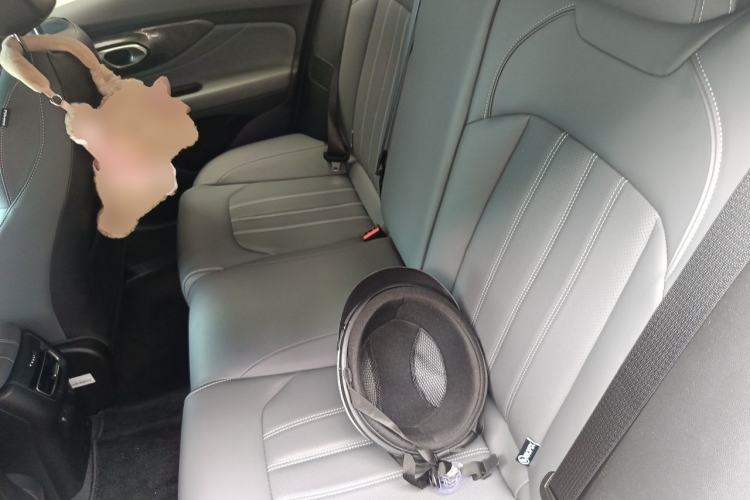 Used GAC Trumpchi EMPOW 2024 270T DCT Yingbao R-Style Edition Left Rear Seat
