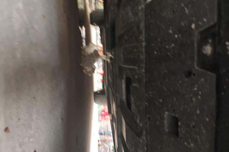 Used GAC Trumpchi ES9 2024 PHEV with 143 km Max Chassis Front