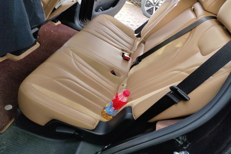 Used GAC Trumpchi ES9 2024 PHEV 143km Pro+ Left Rear Seat