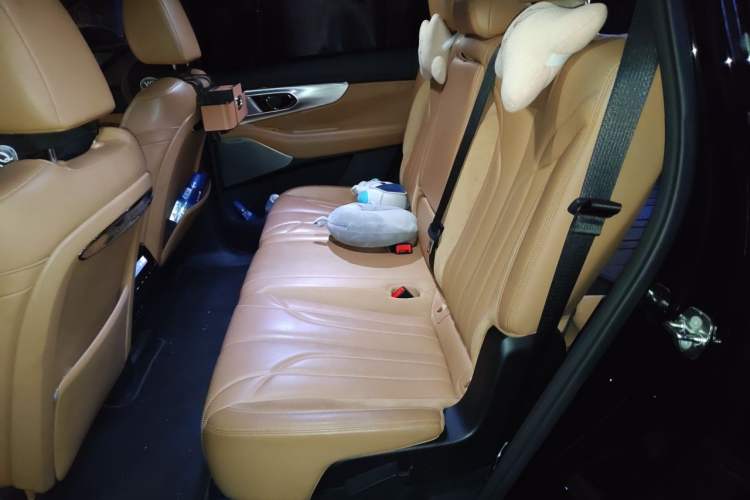Used GAC Trumpchi ES9 2024 PHEV 143km Max+ Left Rear Seat