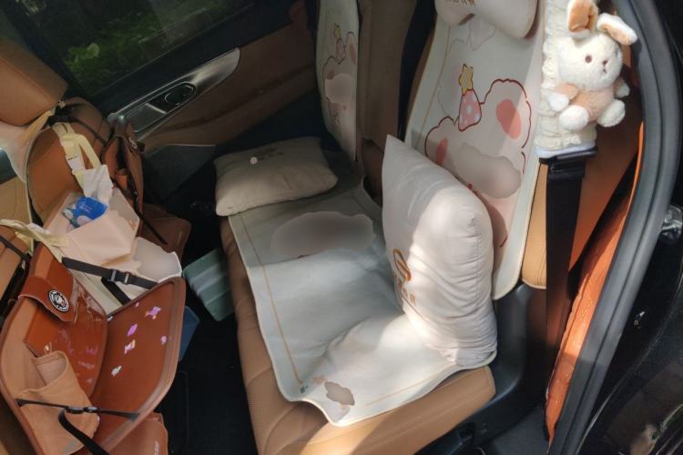 Used GAC Trumpchi ES9 2024 PHEV 143km Pro+ Left Rear Seat