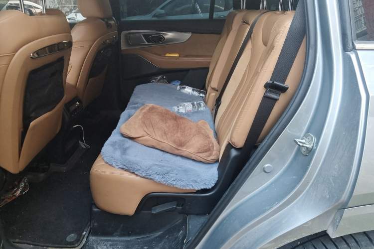 Used GAC Trumpchi ES9 2024 PHEV with 143 km Max Left Rear Seat