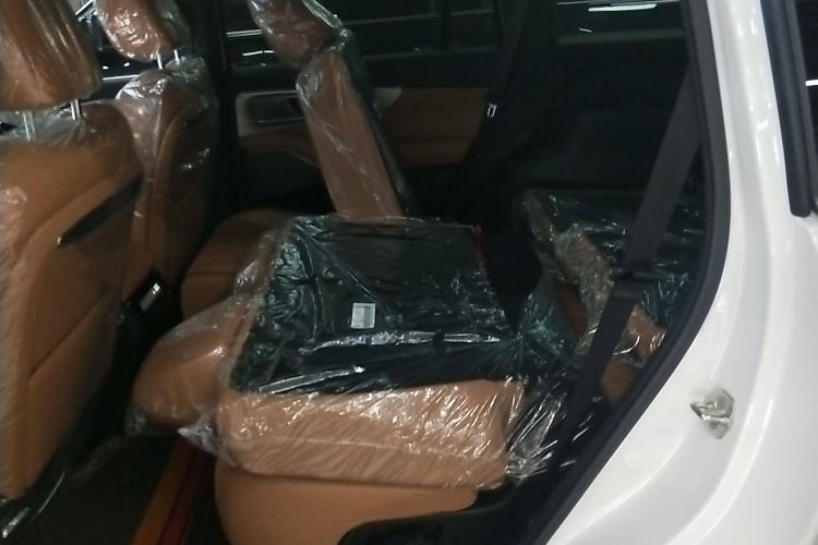 Used GAC Trumpchi ES9 2024 PHEV with 143 km Max Interior 4