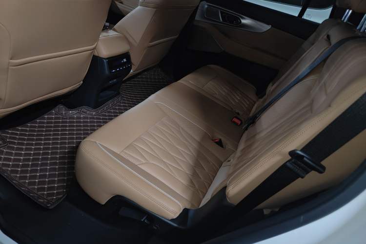 Used GAC Trumpchi ES9 2024 PHEV 143km Pro Left Rear Seat