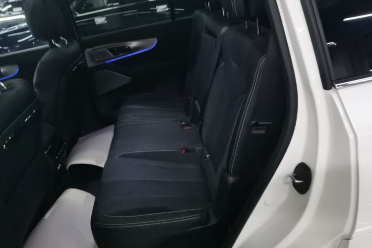 Used GAC Trumpchi ES9 2024 PHEV 143km Max+ Left Rear Seat