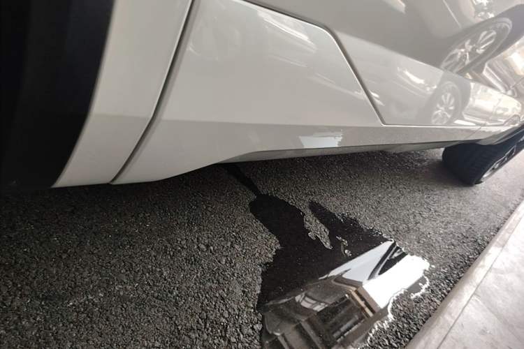 Used GAC Trumpchi ES9 2024 PHEV 143km Traveler Max Left Side Sill