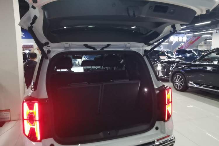 Used GAC Trumpchi ES9 2024 PHEV 143km Max+ Trunk