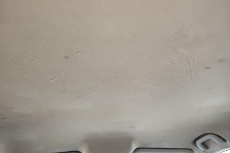 Used GAC Trumpchi GA4 2018 150N Automatic Luxury Edition Headliner