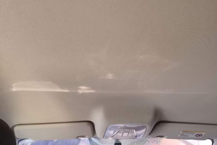 Used GAC Trumpchi GA4 2018 150N Automatic Luxury Edition Headliner