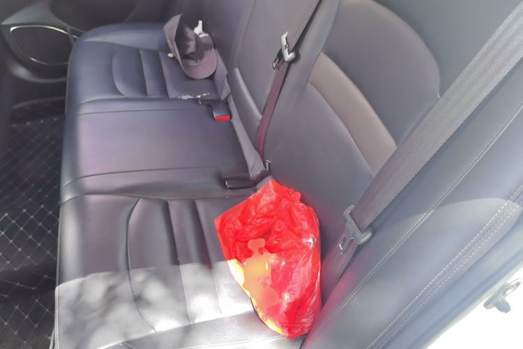 Used GAC Trumpchi GA4 2018 200T Automatic Luxury Edition Left Rear Seat