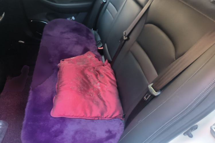 Used GAC Trumpchi GA4 2018 200T Automatic Luxury Edition Left Rear Seat