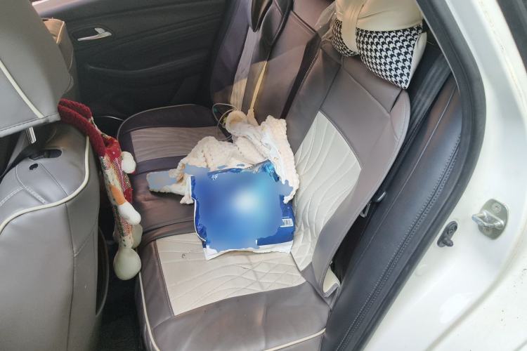 Used GAC Trumpchi GA4 2018 200T Automatic Luxury Edition Left Rear Seat