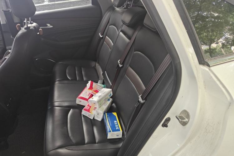 Used GAC Trumpchi GA4 2018 200T Automatic Luxury Edition Left Rear Seat