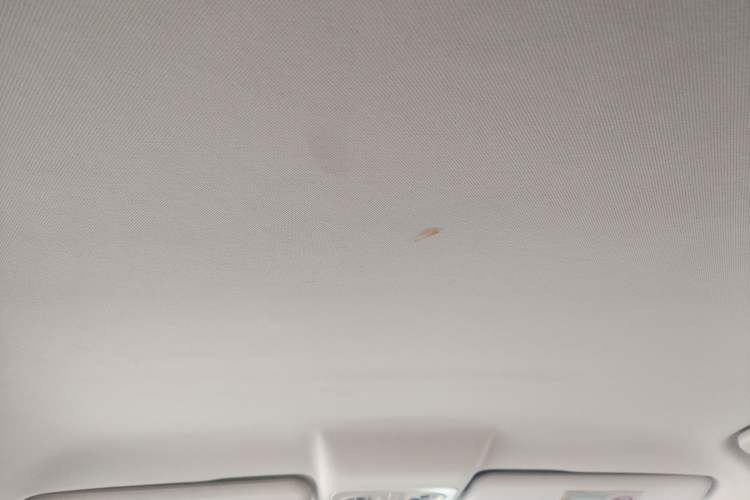 Used GAC Trumpchi GA5 New Energy 2016 PHEV Elite Edition Headliner