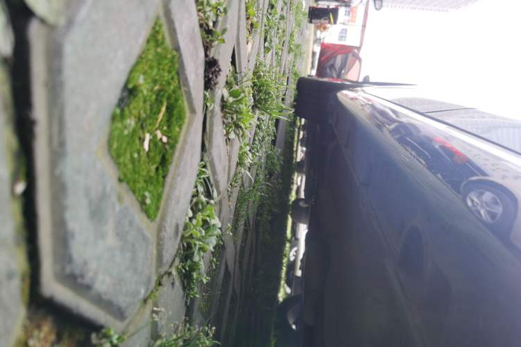 Used GAC Trumpchi GA6 2016 235T DCT Elite Edition Left Side Sill