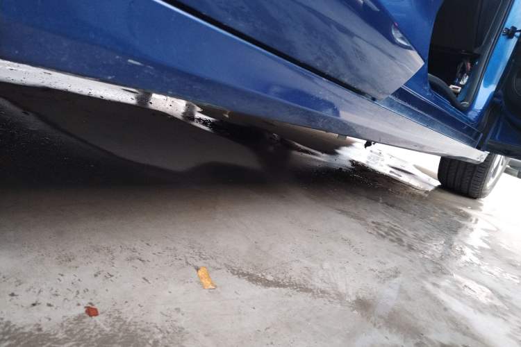 Used GAC Trumpchi GA6 2019 270T Automatic Prestige Edition Right Side Sill