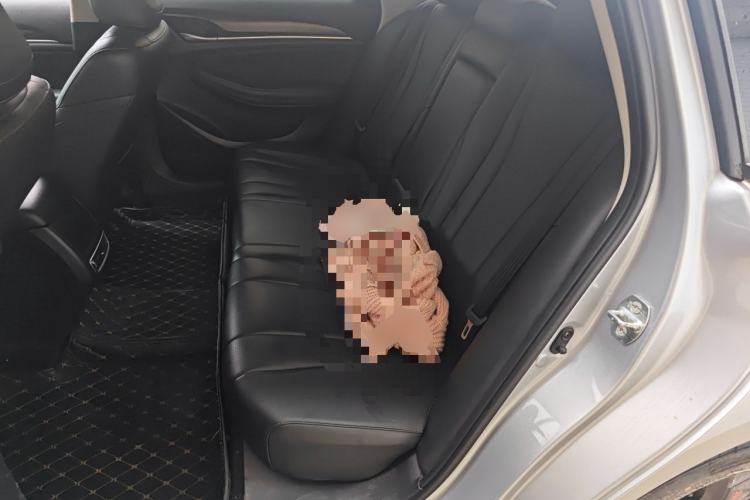 Used GAC Trumpchi GA6 2019 270T Automatic Luxury Edition Left Rear Seat