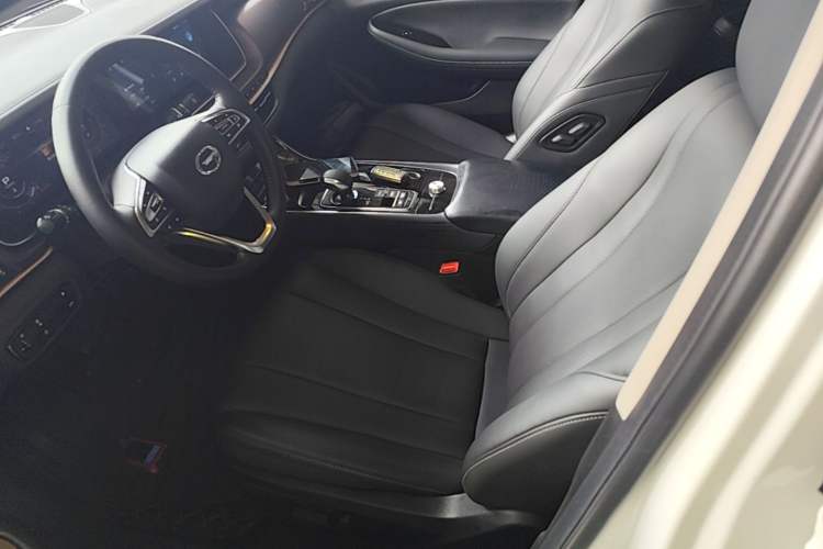 Used GAC Trumpchi GA6 2019 270T Automatic Prestige Edition Left Front Seat