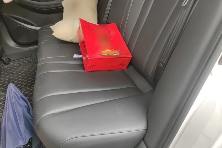Used GAC Trumpchi GA6 2022 270T Automatic Luxury Edition Left Rear Seat
