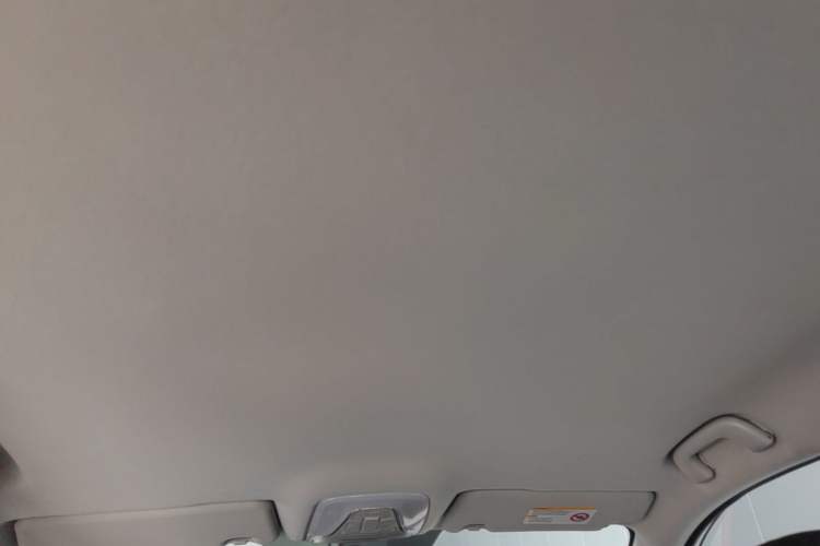 Used GAC Trumpchi GS3 2021 POWER 270T Automatic Sporty Edition Headliner
