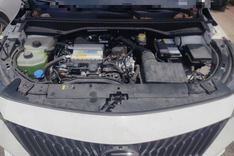 Used GAC Trumpchi GS3 2023 Shadow Speed 270T Enjoyment Edition Engine Bay