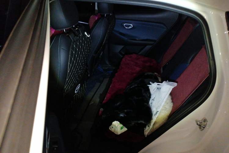 Used GAC Trumpchi GS3 2025 Shadow Speed 270T Enjoyment Edition Soaring to New Heights Left Rear Seat