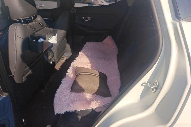 Used GAC Trumpchi GS3 2025 Shadow Speed 270T Enjoyment Edition Soaring to New Heights Left Rear Seat