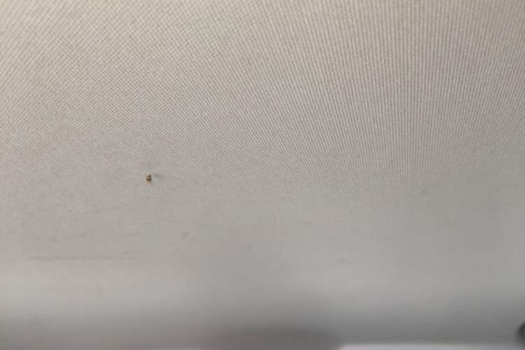 Used GAC Trumpchi GS4 2015 200T Manual Comfort Edition Headliner