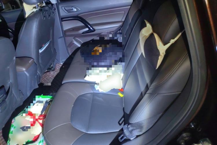Used GAC Trumpchi GS4 2016 235T G-DCT Elite Edition Left Rear Seat