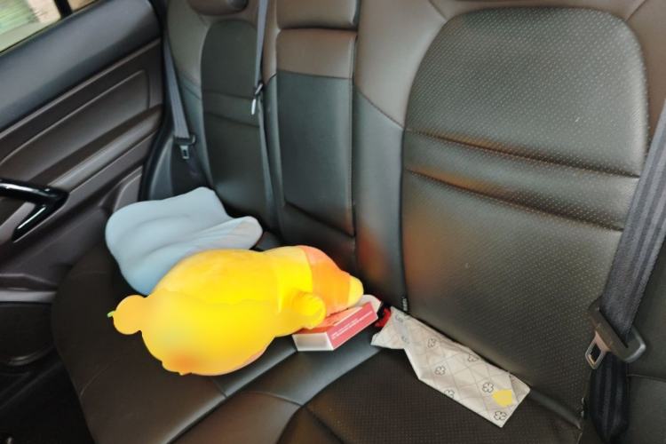 Used GAC Trumpchi GS4 2016 235T G-DCT Luxury Edition Left Rear Seat