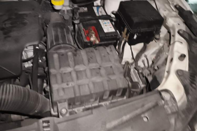 Used GAC Trumpchi GS4 2017 235T Automatic Two-Wheel Drive Elite Edition Engine Bay Left