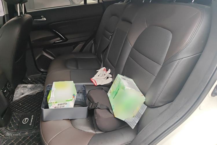 Used GAC Trumpchi GS4 2017 235T Manual Two-Wheel Drive Luxury Edition Left Rear Seat