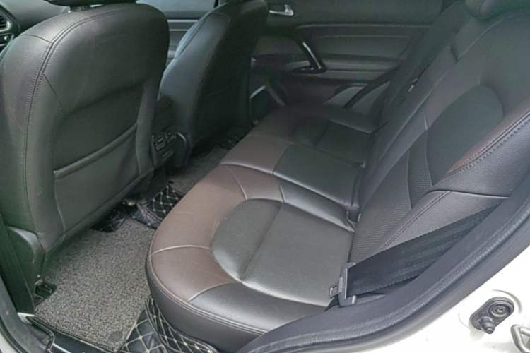 Used GAC Trumpchi GS4 2017 235T Manual Two-Wheel Drive Luxury Edition Left Rear Seat