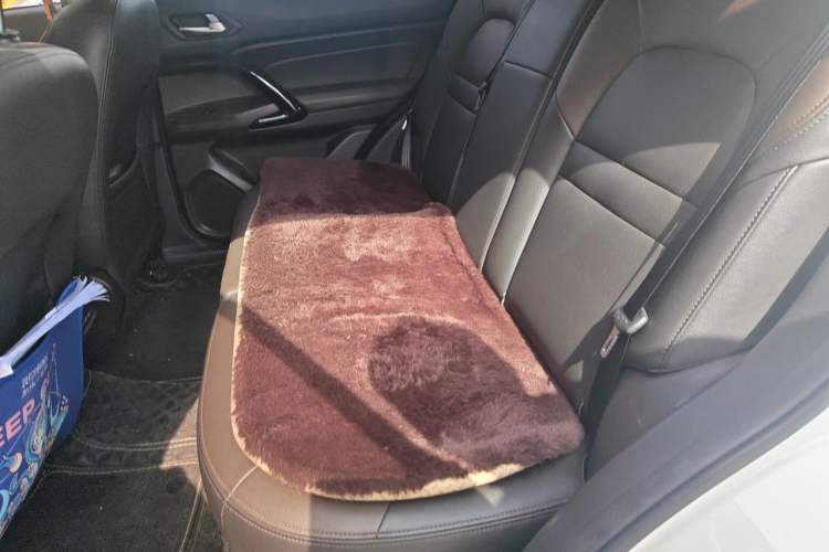 Used GAC Trumpchi GS4 2017 200T G-DCT Two-Wheel Drive Elite Edition Left Rear Seat