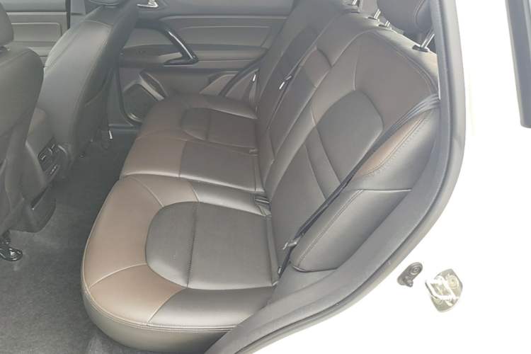 Used GAC Trumpchi GS4 2017 235T Automatic Two-Wheel Drive Luxury Smart Connectivity Version Left Rear Seat