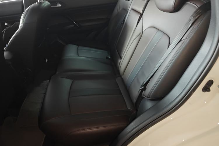 Used GAC Trumpchi GS4 2018 235T Automatic Two-Wheel Drive Luxury Smart Connectivity Version Left Rear Seat