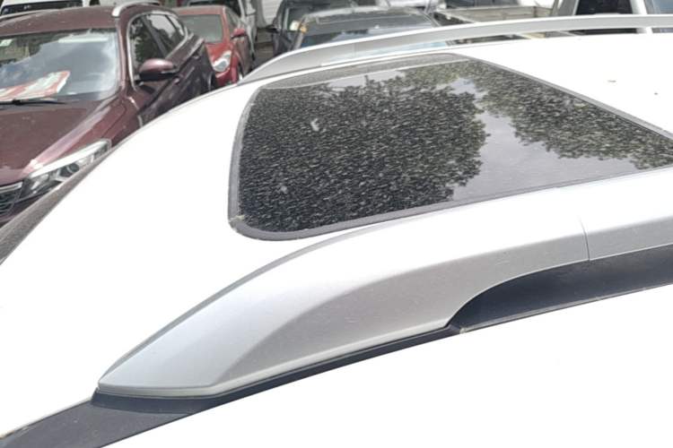 Used GAC Trumpchi GS4 2018 235T Automatic Two-Wheel Drive Elite Edition Roof