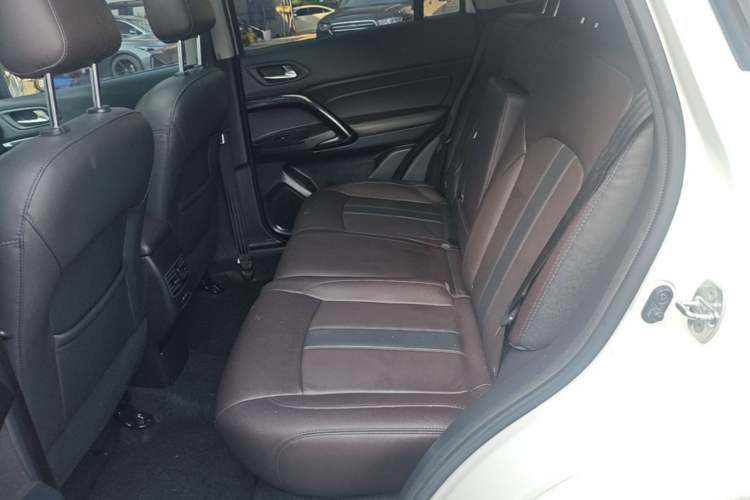 Used GAC Trumpchi GS4 2019 270T Automatic Two-Wheel Drive Luxury Smart Connectivity Model Left Rear Seat