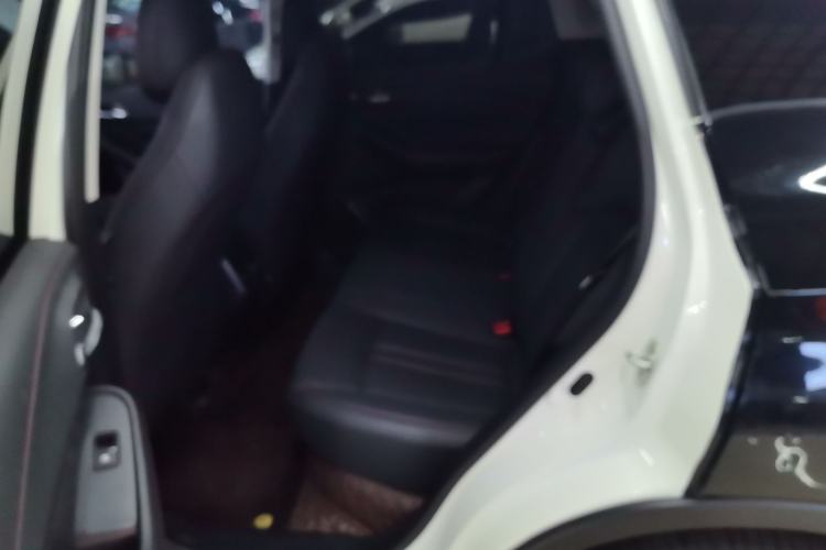 Used GAC Trumpchi GS4 2020 270T Automatic Smart Connectivity Edition Left Rear Seat