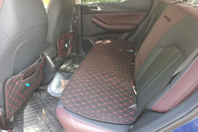 Used GAC Trumpchi GS4 2020 270T Automatic Smart Connectivity Edition Left Rear Seat
