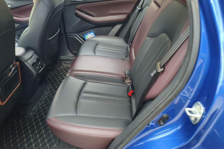 Used GAC Trumpchi GS4 2020 270T Automatic Elite Tech Edition Left Rear Seat