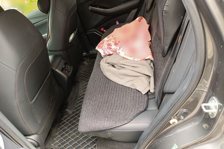 Used GAC Trumpchi GS4 2020 270T Automatic Comfort Edition Left Rear Seat