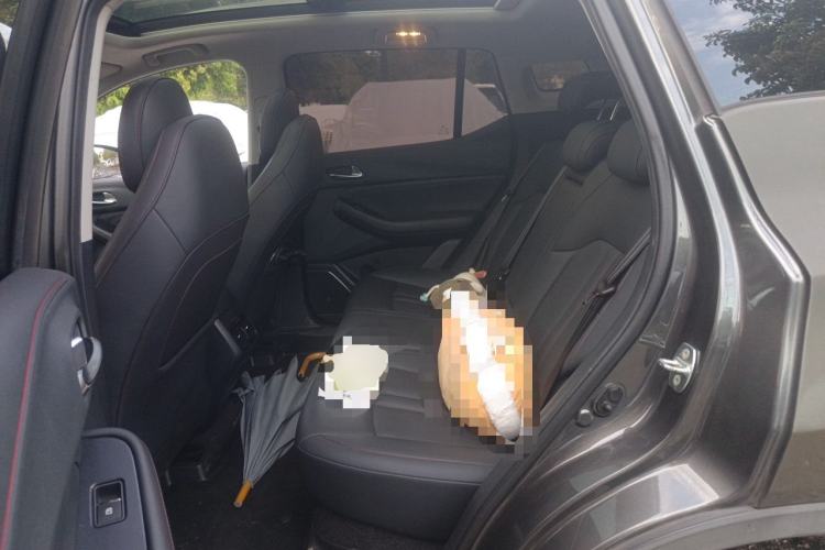 Used GAC Trumpchi GS4 2020 270T Automatic Smart Connectivity Edition Left Rear Seat