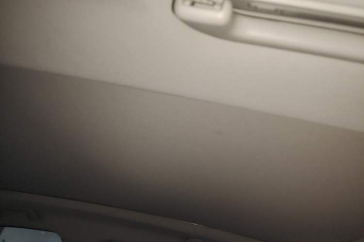 Used GAC Trumpchi GS4 2020 270T Manual Luxury Edition Headliner