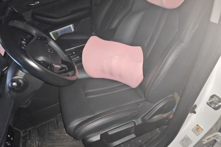Used GAC Trumpchi GS4 2020 270T Automatic Luxury Smart Connectivity Version Left Front Seat