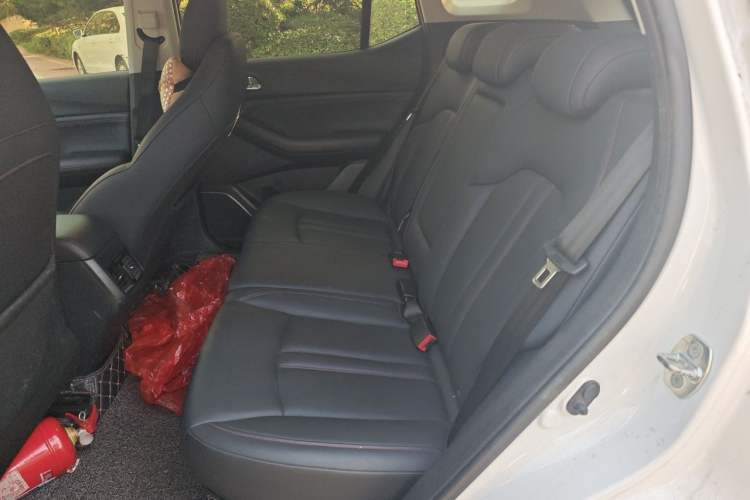 Used GAC Trumpchi GS4 2020 270T Automatic Elite Tech Edition Left Rear Seat